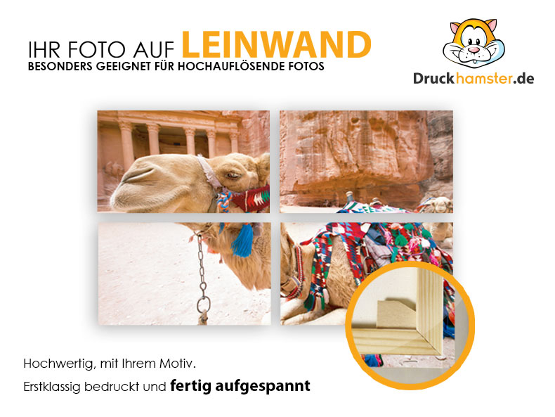 Photo-Leienwand